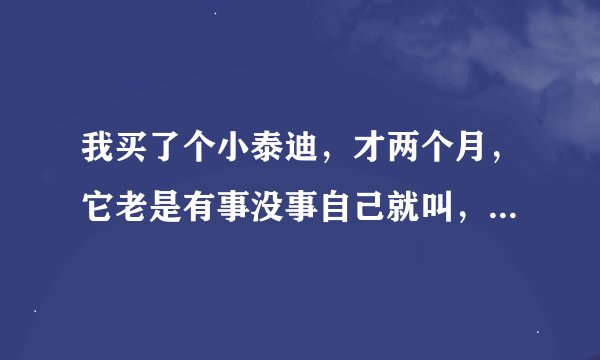我买了个小泰迪，才两个月，它老是有事没事自己就叫，自己呆着就叫，玩着玩着就叫，特别烦人