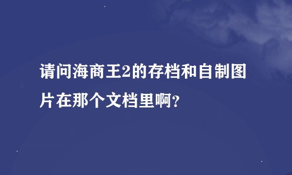请问海商王2的存档和自制图片在那个文档里啊？
