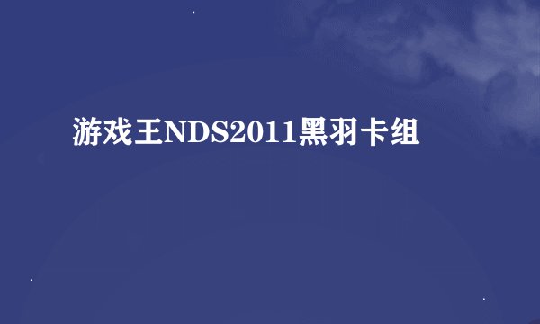 游戏王NDS2011黑羽卡组