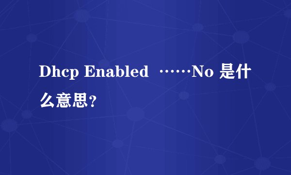 Dhcp Enabled  ……No 是什么意思？
