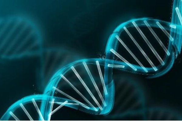 核酸分子杂交名词解释