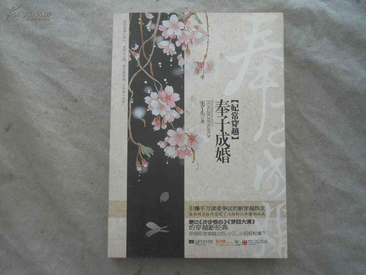 妃常穿越：奉子成婚的内容简介