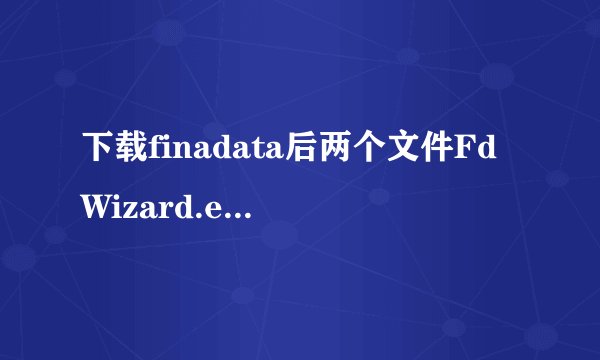下载finadata后两个文件FdWizard.exe和FINALDATA.exe有什么区别