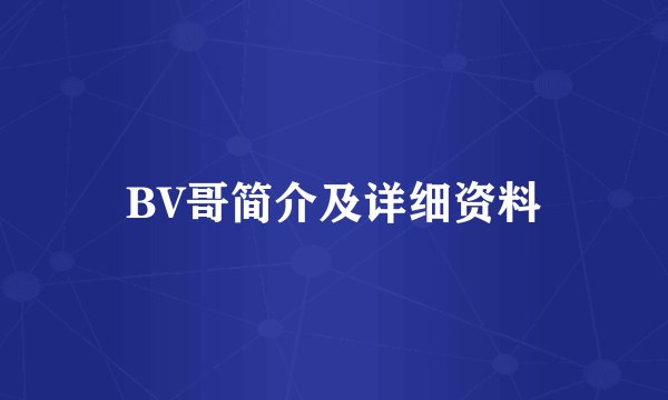 BV哥简介及详细资料