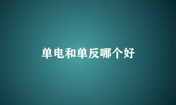 单电和单反哪个好