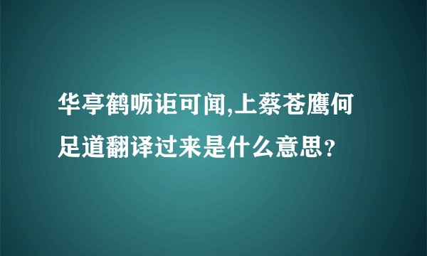 华亭鹤呖讵可闻,上蔡苍鹰何足道翻译过来是什么意思？