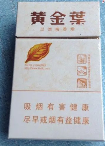 黄金叶天叶和大天叶有什么不同？