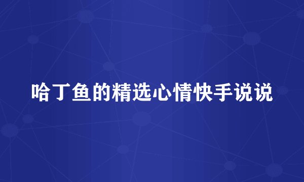 哈丁鱼的精选心情快手说说