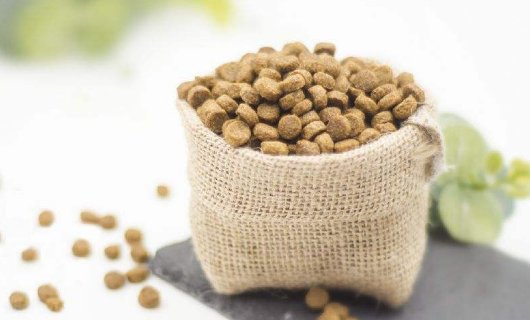 大家都给猫咪吃什么牌子的猫粮？