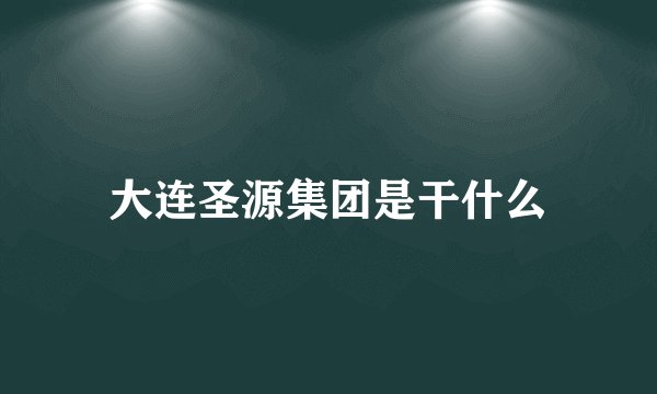 大连圣源集团是干什么