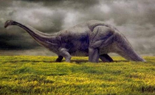 恐龙有哪些种类和名字