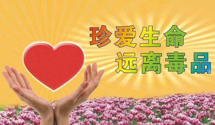 二十世纪多少年代，中国获得“无毒国”的美誉