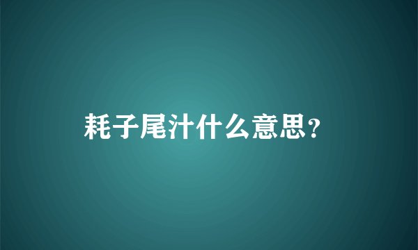 耗子尾汁什么意思？