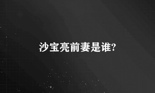 沙宝亮前妻是谁?