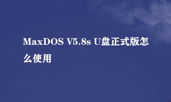 MaxDOS V5.8s U盘正式版怎么使用