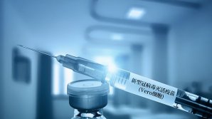 北京生物为什么没苗了