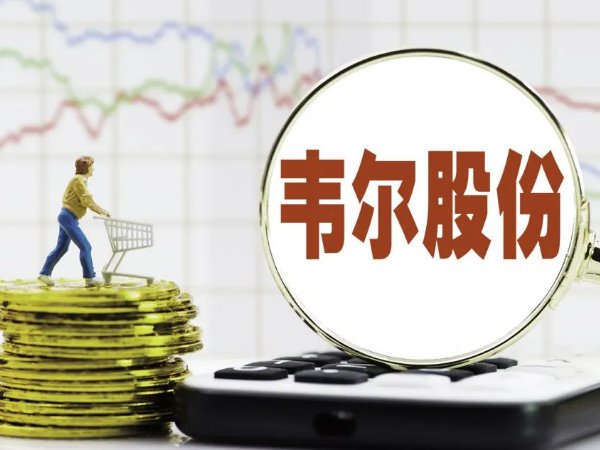 中国芯片排名第一