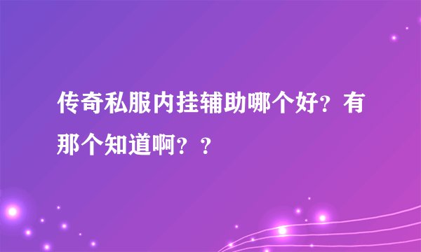 传奇私服内挂辅助哪个好？有那个知道啊？？