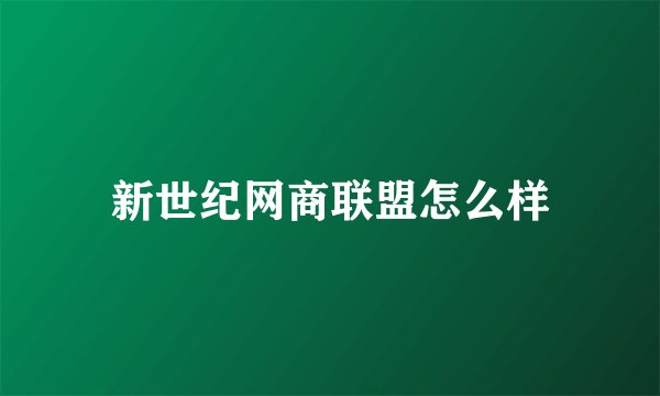 新世纪网商联盟怎么样