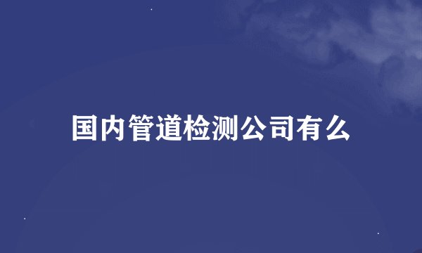 国内管道检测公司有么
