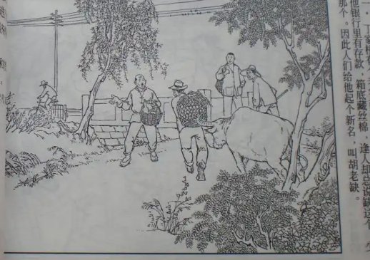 许小强沈丽娟的小说是什么小说？