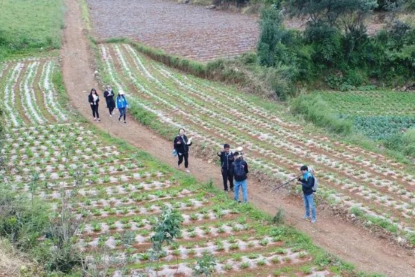 砥砺前行的拼音