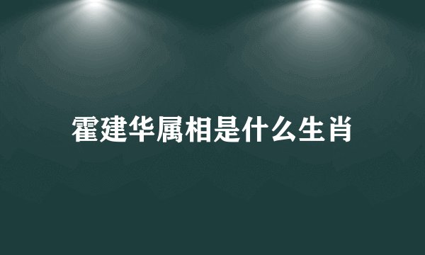 霍建华属相是什么生肖