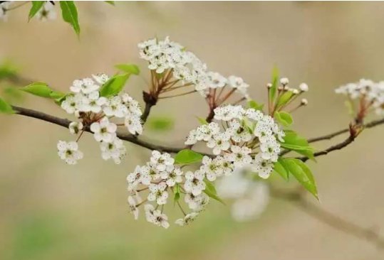 春雷什么什么的成语