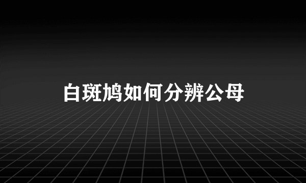 白斑鸠如何分辨公母
