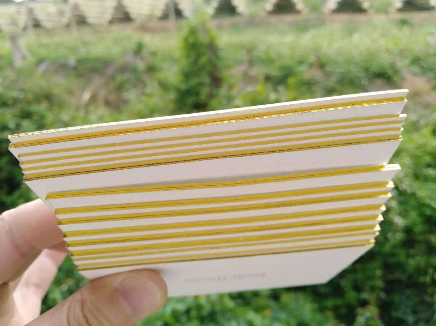 什么是网络语擦边？