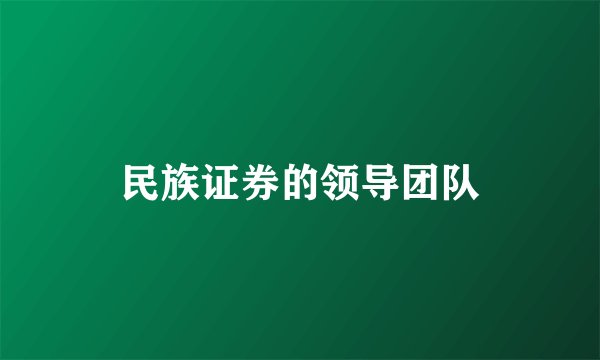 民族证券的领导团队