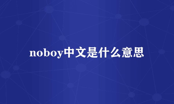 noboy中文是什么意思