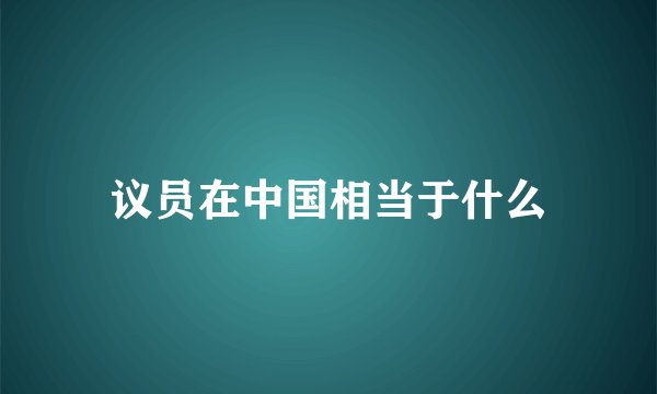 议员在中国相当于什么