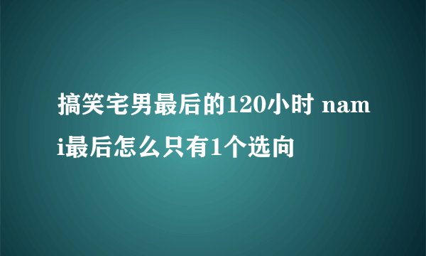 搞笑宅男最后的120小时 nami最后怎么只有1个选向