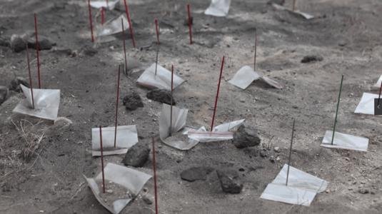 西藏发现8000年前磨制石针,这个石针具有怎样的历史印记?