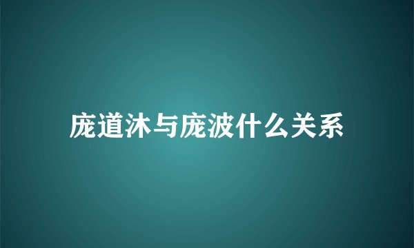 庞道沐与庞波什么关系