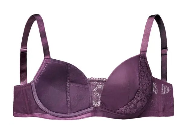 世界十大顶级内衣品牌