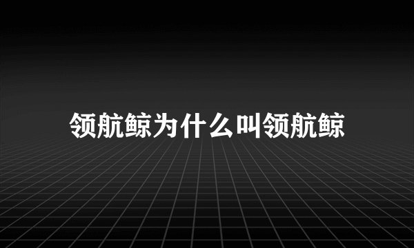 领航鲸为什么叫领航鲸