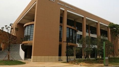 如何查询合肥市绿色指标的分数？