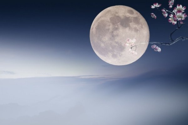 怎么写月下的所见所想？