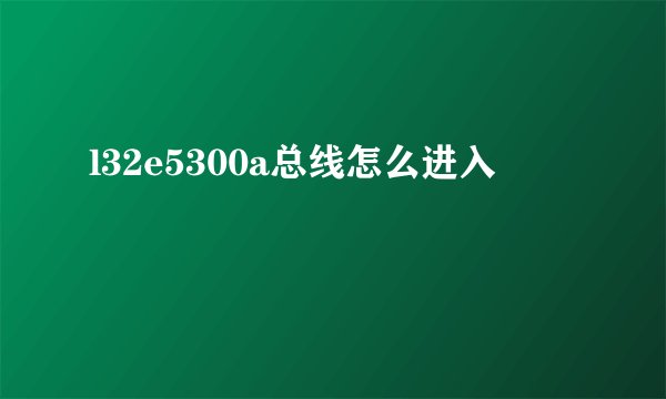 l32e5300a总线怎么进入