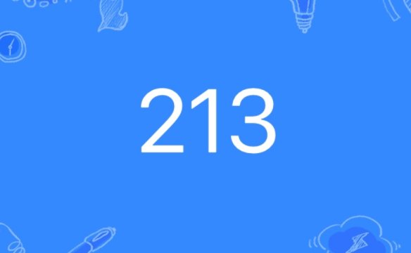 213是什么意思?