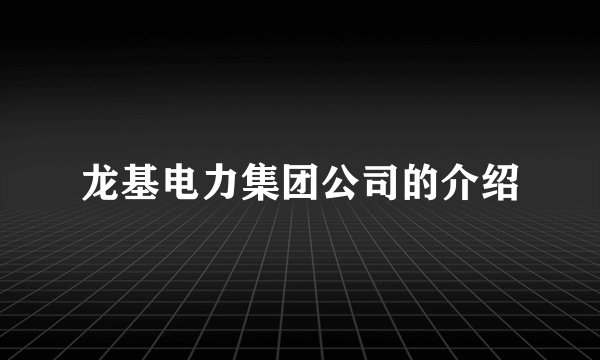 龙基电力集团公司的介绍