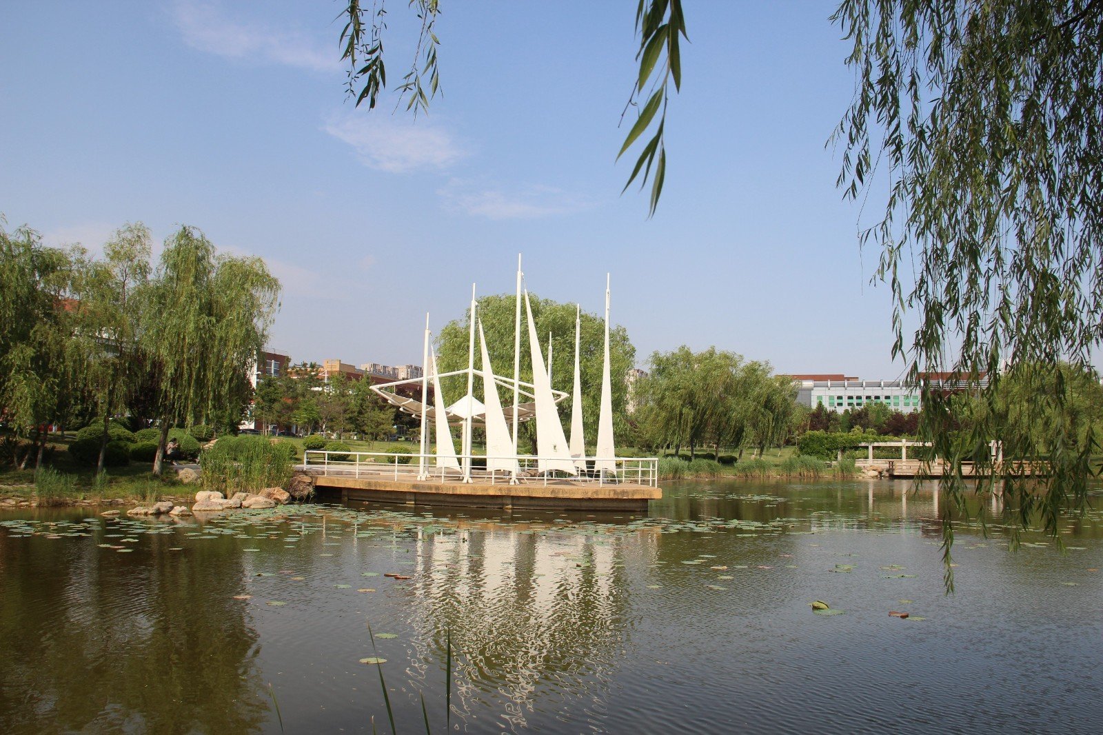 滨州学院录取分数线2023年专科生