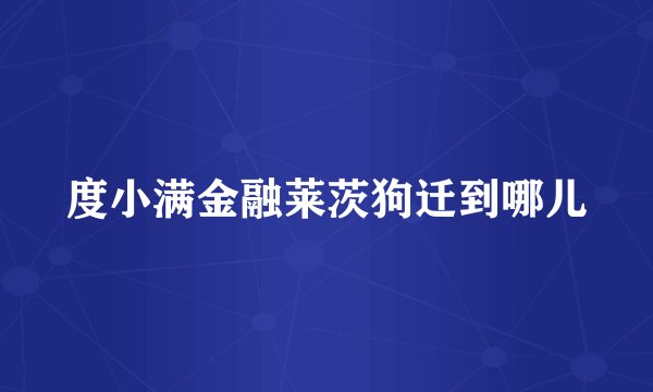 度小满金融莱茨狗迁到哪儿