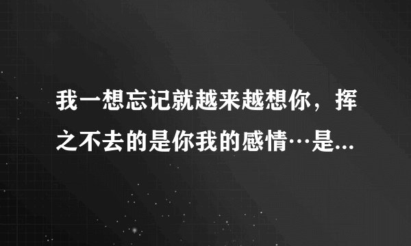 我一想忘记就越来越想你，挥之不去的是你我的感情…是什么歌名？