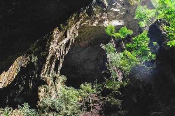 哀牢山遇难勘探人员身穿售价4毛的雨衣,他们的登山设备是否有待加强?