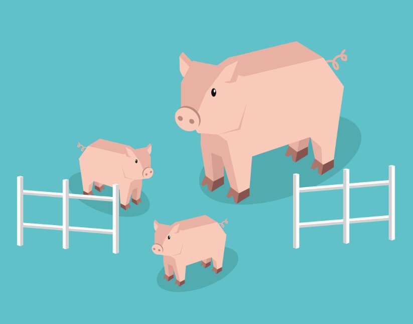 皇爷请包公指什么生肖