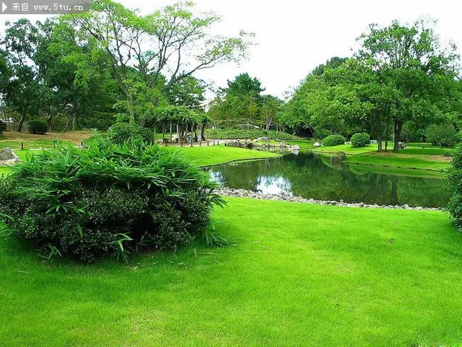 上海一小区解封居民春游式购物,大家的心情得到了怎样的舒展?