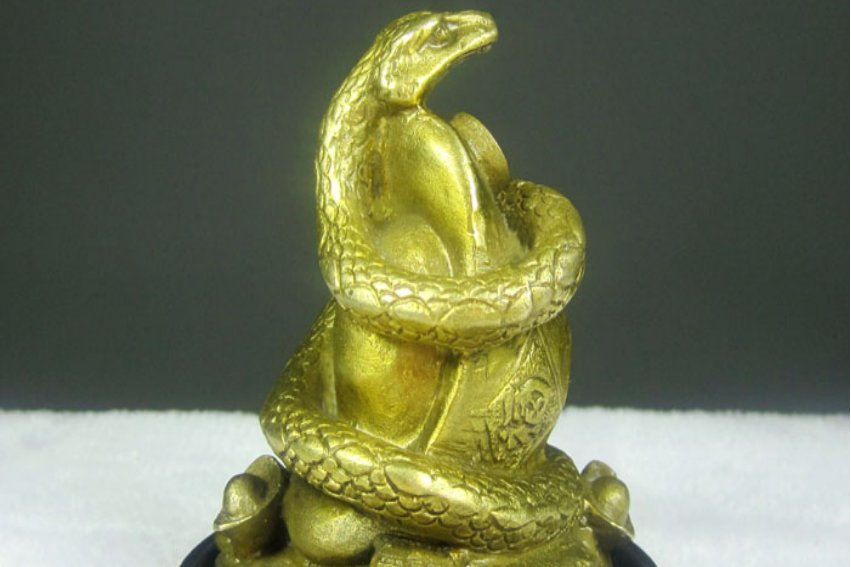 奴才无福入三渊是什么生肖